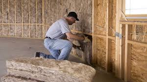 Best Eco-Friendly or Green Insulation Solutions  in Warren Af, WY